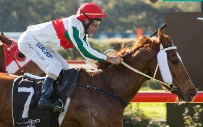 Ex-Hong Kong Galloper goes “Bang”