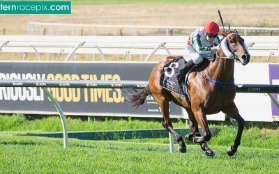 Eleven Seconds Stunning at Ascot