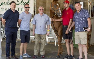 Not a Single Doubt Colt Tops Perth Sale Opener