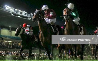 Rocky Takes On the Best at Moonee Valley