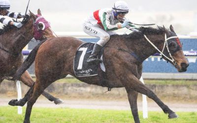 Long Beach ends long winning drought with upset win in Jolly Beggar Stakes at Belmont Park