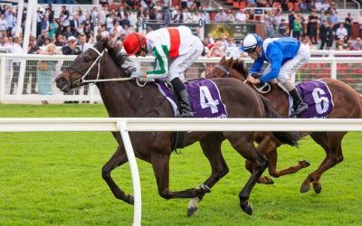 Repossession a tough rising star for Gangemi brothers
