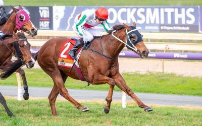 Phanta delivers again in Belmont Newmarket for Gangemi’s and Parnham