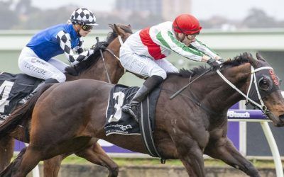 Rokanori steps up to fill the boots of Phanta in Nicopolis Stakes, preserving Gangemis’ feature sprint run