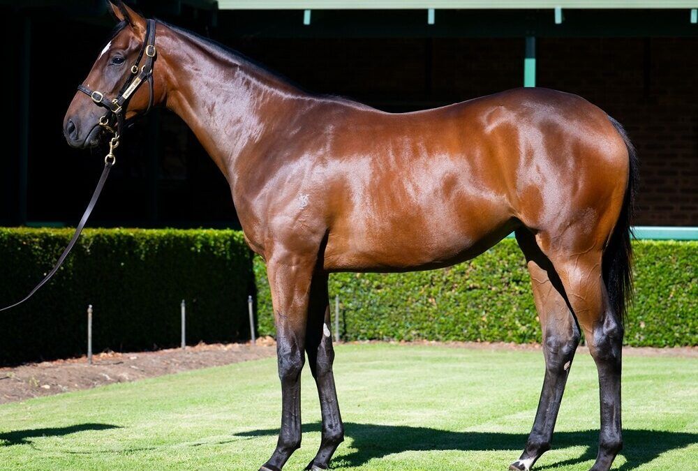 Un-named (Playing God – Habenera)