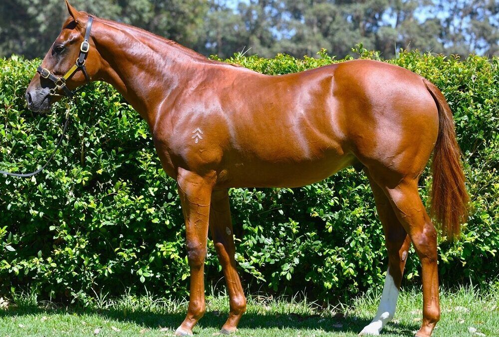 Un-named (Dirty Work – Castle Keep)