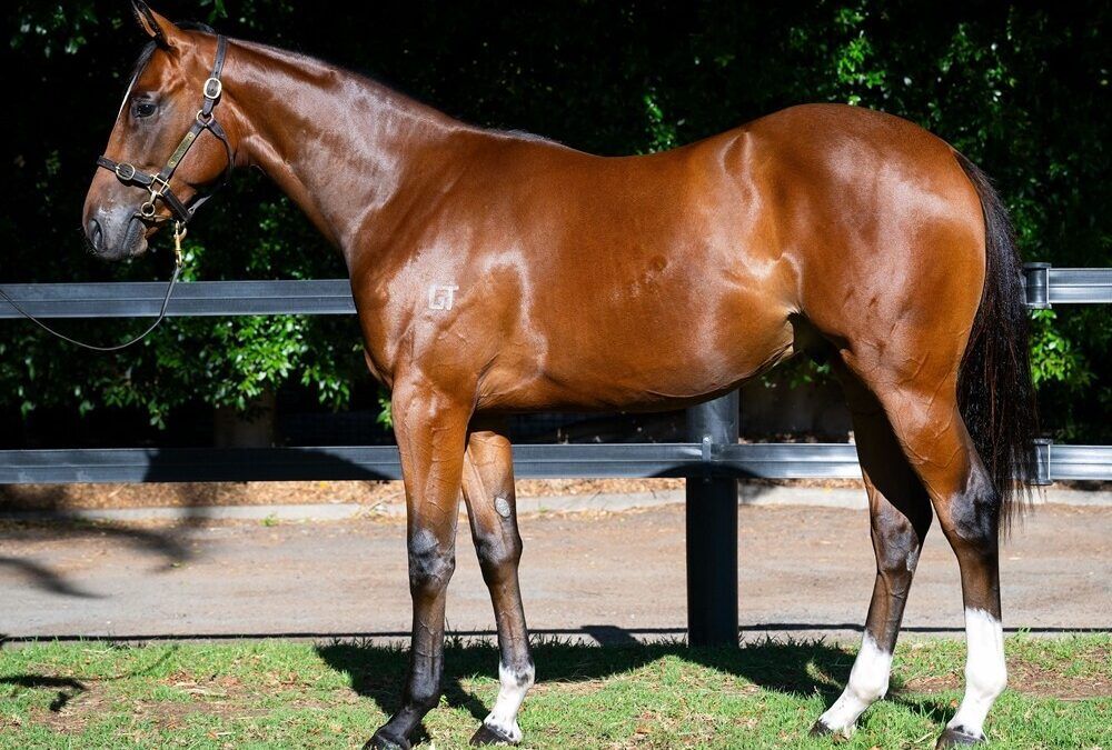 Un-named (Home Affairs – Damodice)