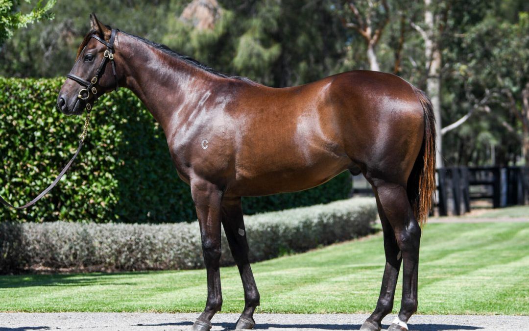 Un-named (Russian Revolution – Samovare)