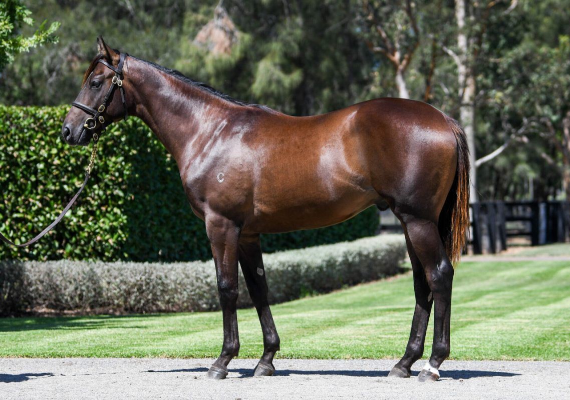 Un-named (Russian Revolution – Samovare)