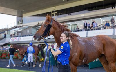 Two in a Row for Sir Kingsford