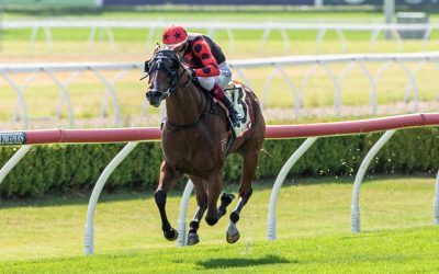 Rocketeer Girl wins at Canterbury for RedFox Racing Syndications