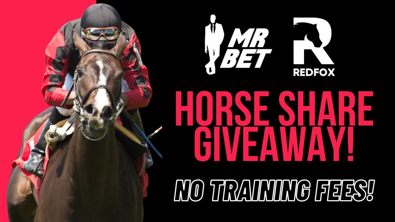 Home - RedFox Thoroughbreds