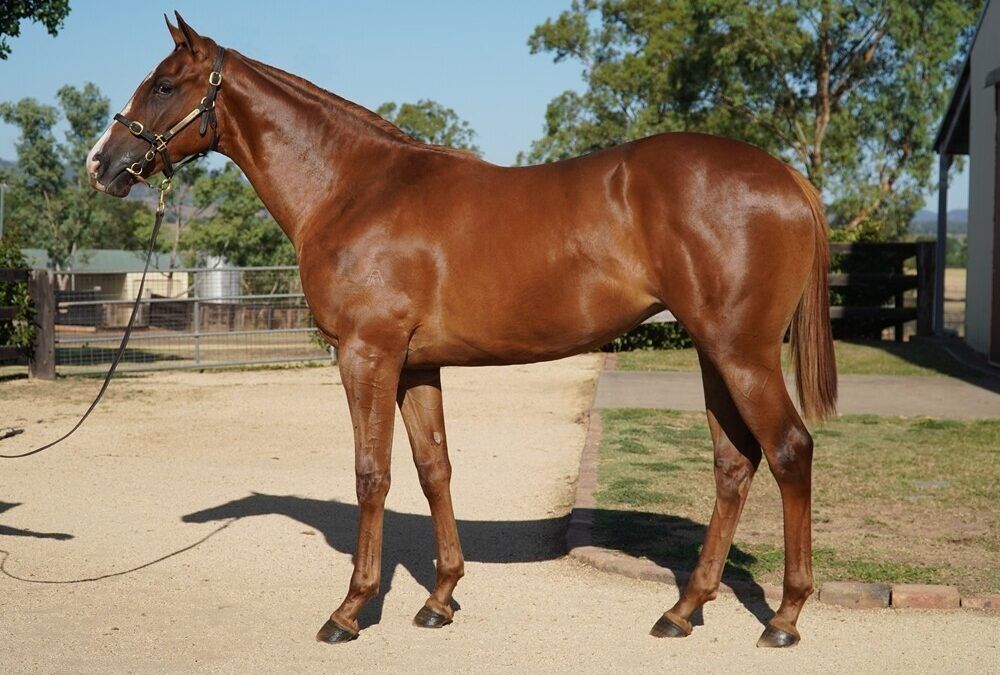 Un-named (Written By – Palace Show)