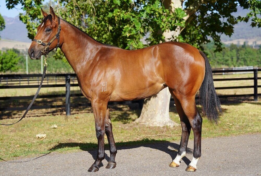 Un-named (Ole Kirk – Submissive)