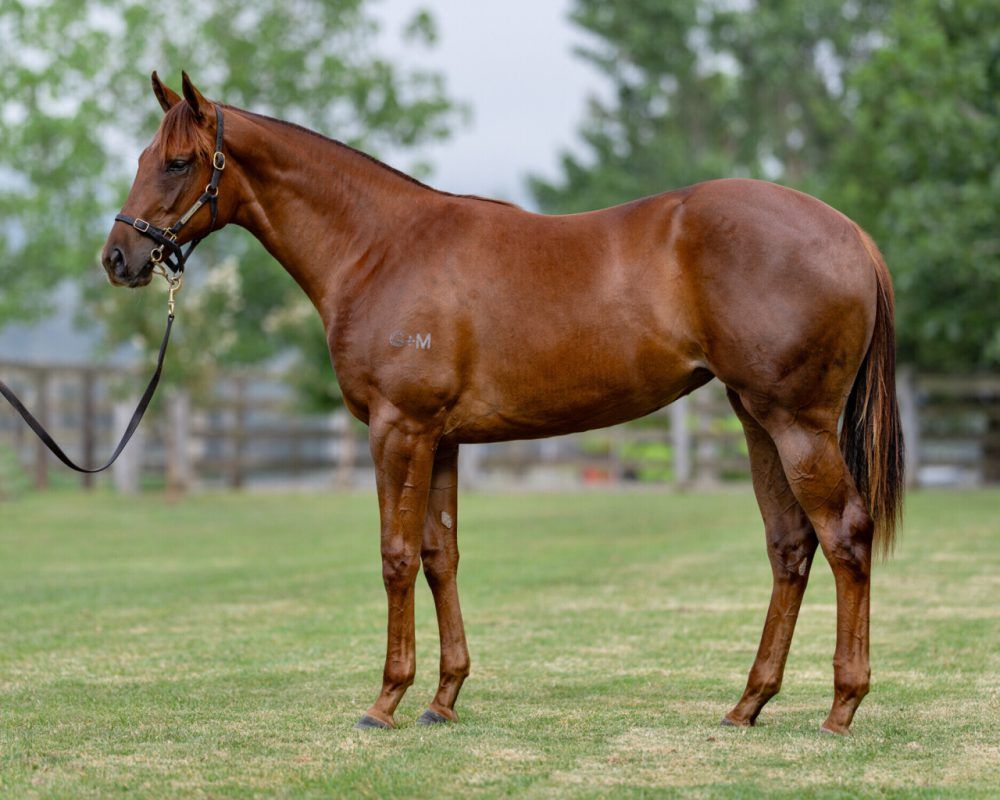 Un-named (Capitalist – In Good Time)