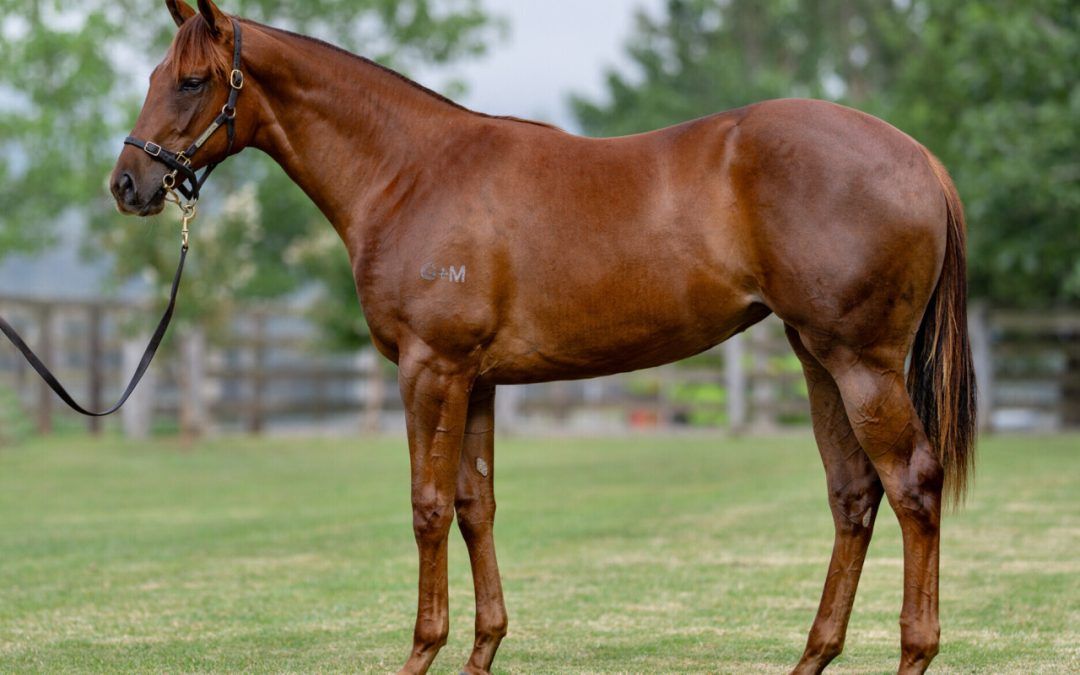 Capitalist x In Good Time