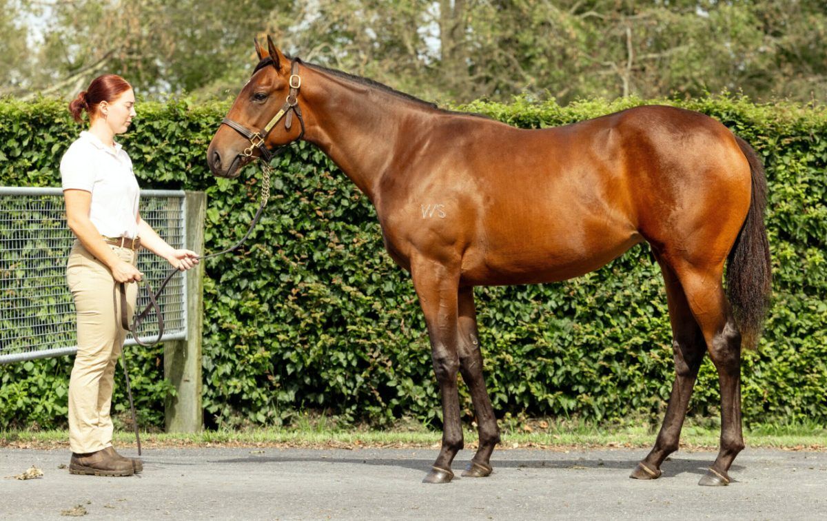 Un-named (Ardrossan – Caramel Sundae)