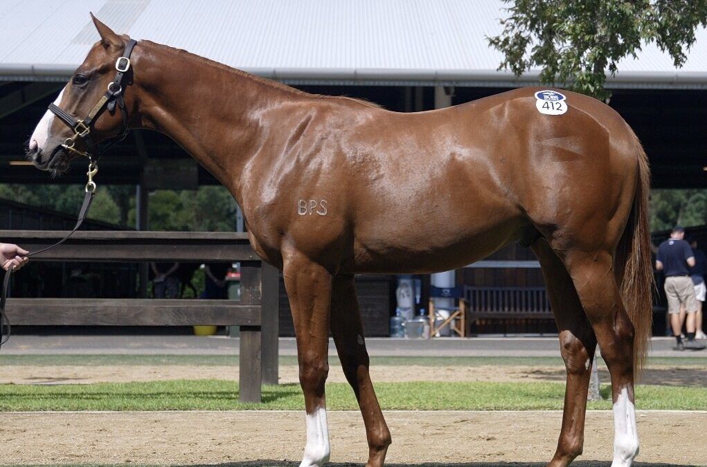 Justify x She’s The Gift