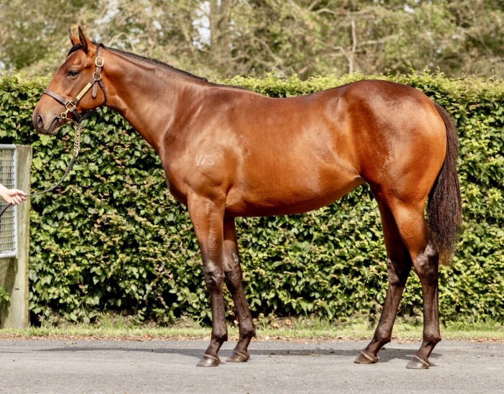 Ardrossan x Caramel Sundae