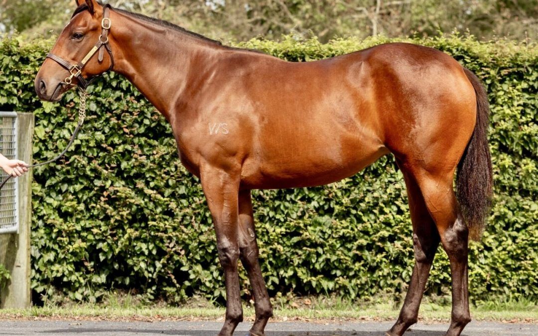 Ardrossan x Caramel Sundae