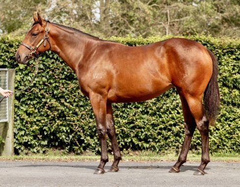 Ardrossan x Caramel Sundae