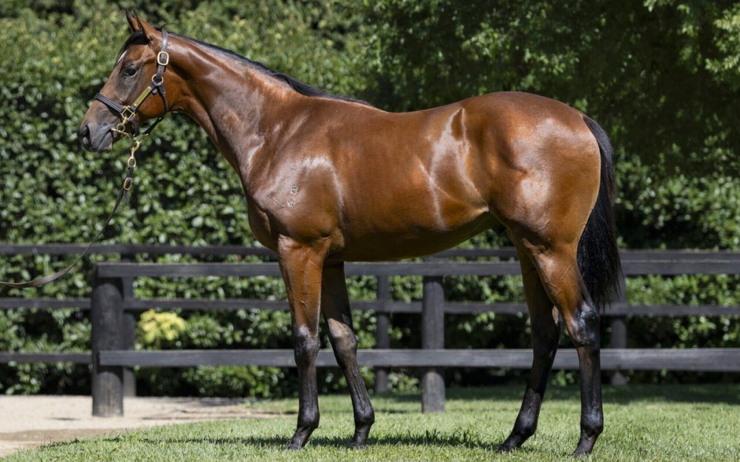 Stay Inside – Great News