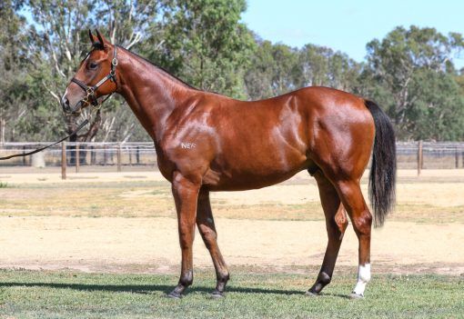 Un-named (Profiteer - Pricing Power)