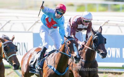 Watch Me Dance supplemented to Magic Millions Perth Winter Sale