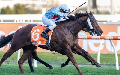 Red Can Man entered for Caulfield August 27
