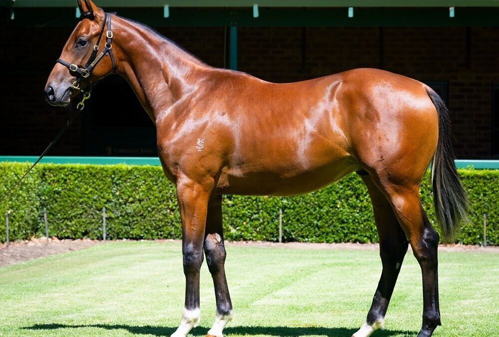 Lightsaber X Platinum Power