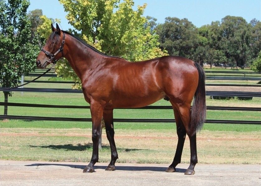 Playing God X Snitz ‘n’ Giggles