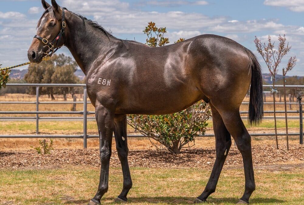 Playing God X Come Magic