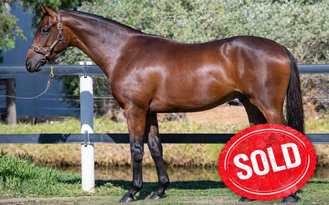 Playing God X Tommy Blue