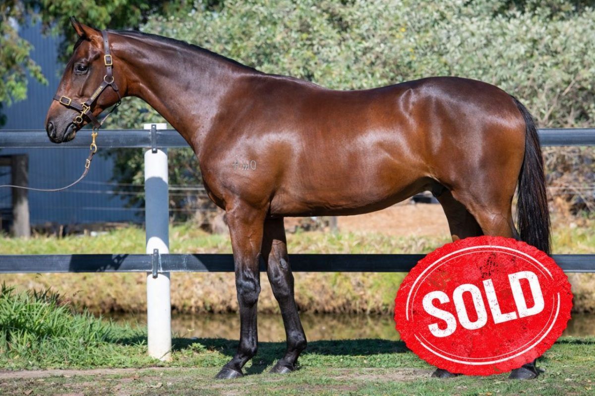 Playing God X Tommy Blue