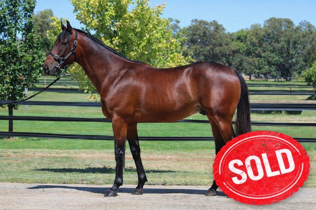 Playing God X Snitz ‘n’ Giggles