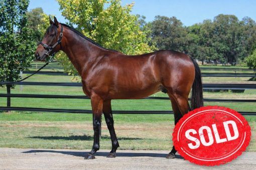 Playing God X Snitz 'n' Giggles