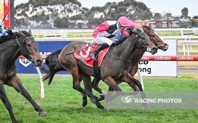 Consistency pays off for Royal Lass