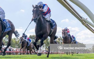 Fire Tribe finishes fast for first