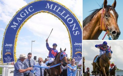 Magic Millions on the Gold Coast