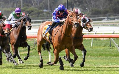 Twitchy Frank goes close at Bendigo on Saturday