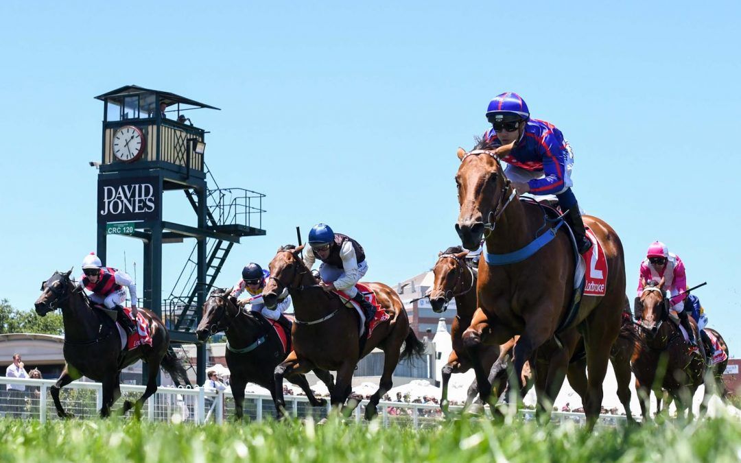 RTD’s Spring Wrap for Caulfield Cup Week