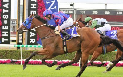 Roll the Dice Racing Strike again at Magic Millions