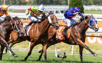 Roll The Dice Racing gets another stakes winner at Caulfield on Blue Diamond Day