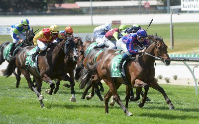 Scottish Dancer impressive on Cranbourne Cup Day