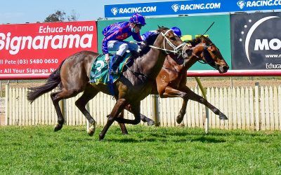 Mount Madeira gets the job done at Echuca