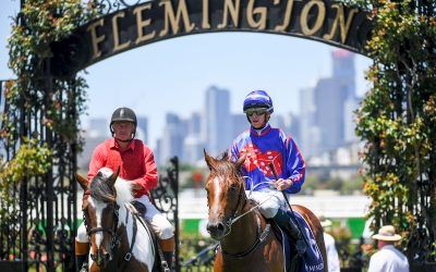 Profiteer shows his class at Flemington