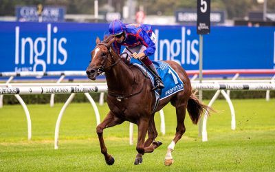 Roll the Dice Racing and Profiteer ready for Moir Stakes on Friday night