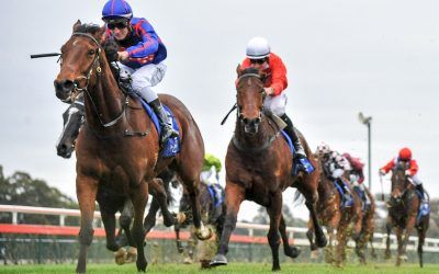 Scottish Dancer back in form at Bendigo