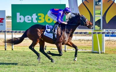 St Arnicca wins again at Swan Hill Carnival