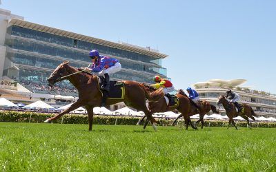 Profiteer impresses on Cup Day at Flemington